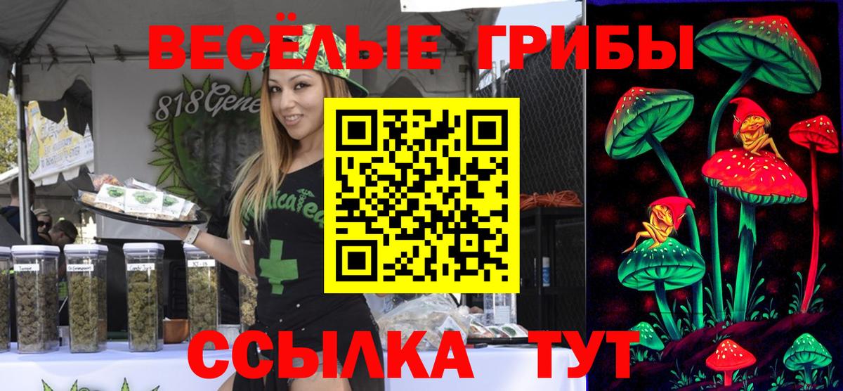 Галлюциногенные грибы прущие грибы Юрга