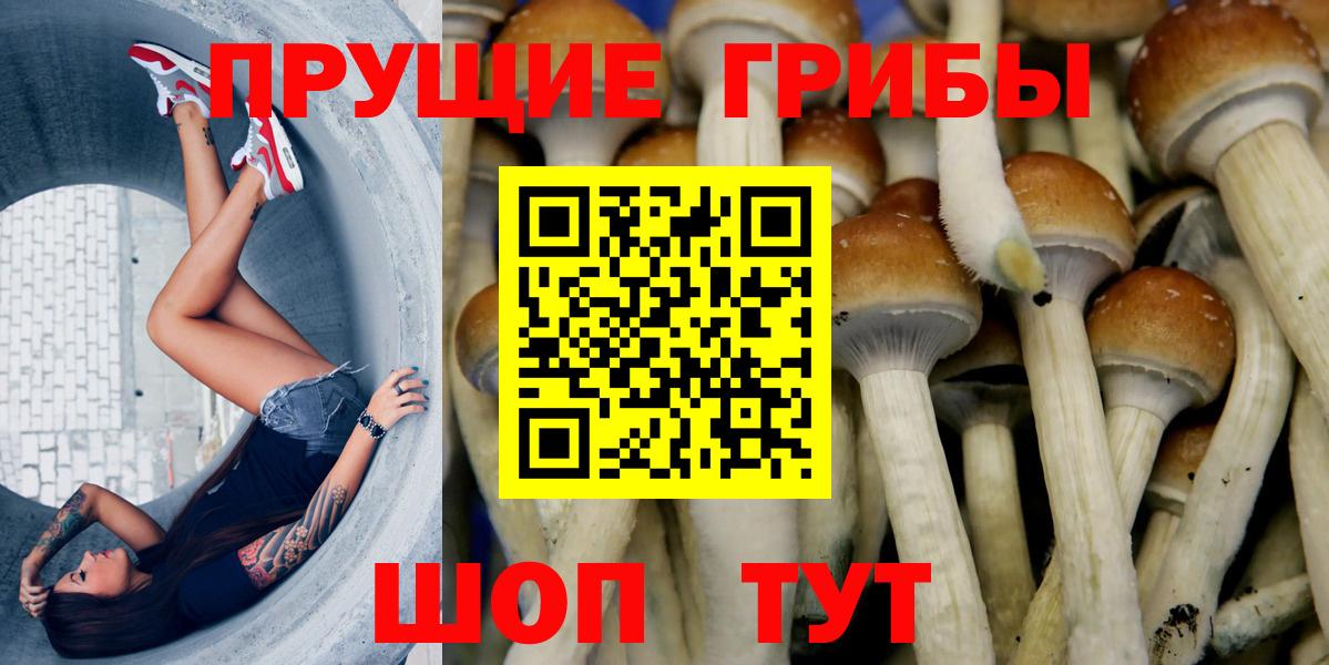 Галлюциногенные грибы GOLDEN TEACHER  Вход с VPN  Псилоцибиновые грибы Cubensis  Юрга 