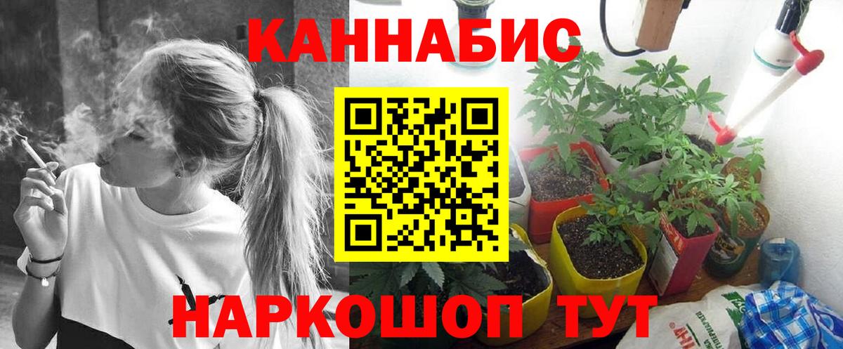 Бошки Шишки гибрид  МАРИХУАНА SATIVA & INDICA  Каннабис MAZAR  Юрга  Вход с VPN  Конопля марихуана 